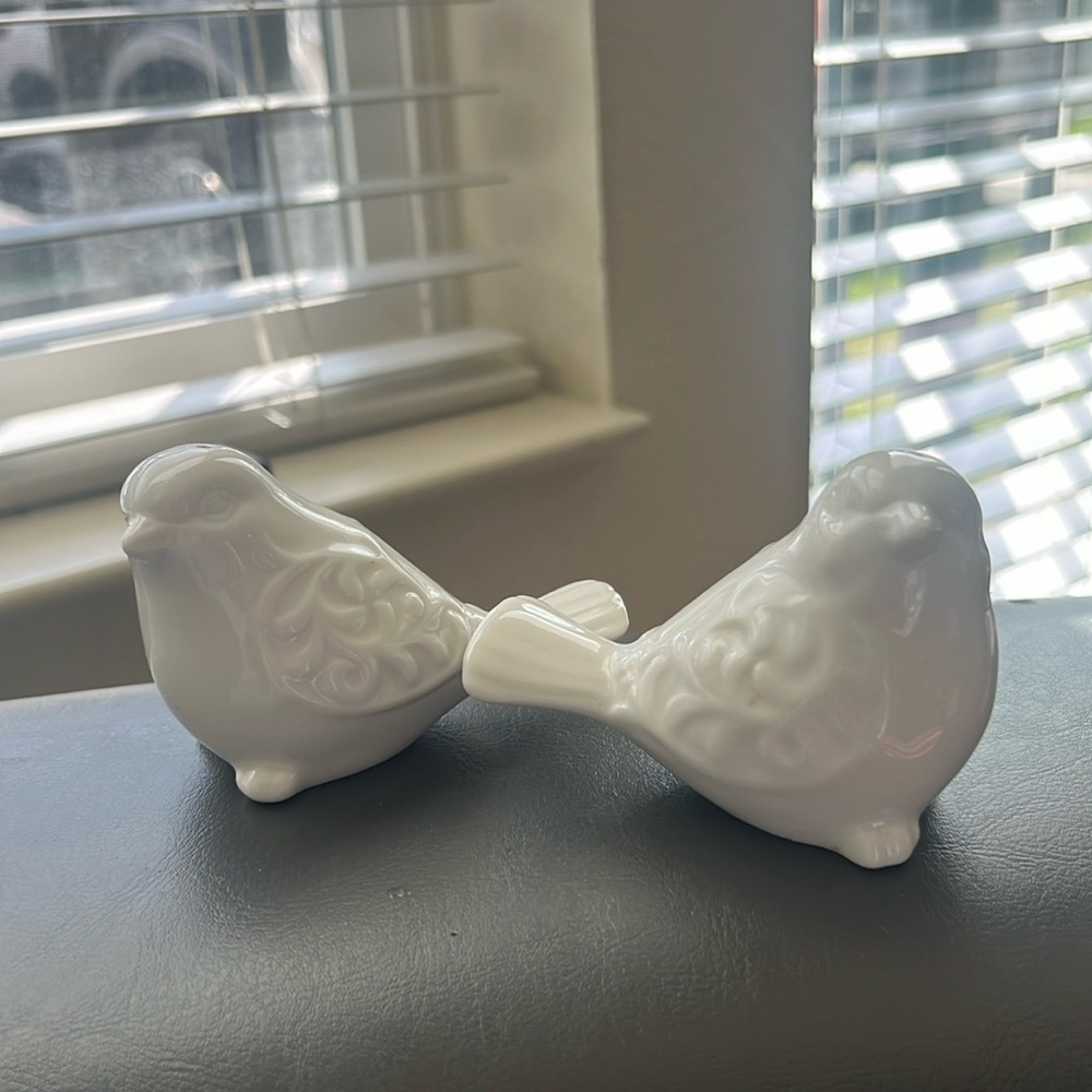 Salt and pepper shaker- pier1